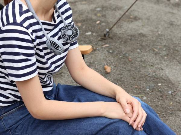 キャンプでも活躍！【ダブルファン＆ルーメナー】この夏注目の2つの扇風機[PR]