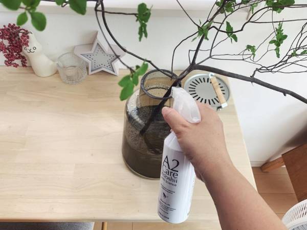 【インスタグラマーさんのものえらび】夏の暮らしを楽しむアイテム5選[PR]