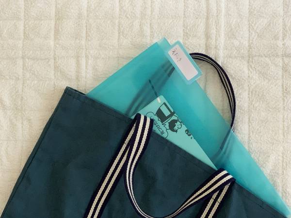 カラフル書類収納Esselte＜エセルテ＞。スウェーデン生まれの文房具で夏休みの宿題を「見える化」しよう。[PR]