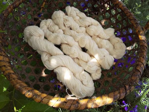 【angersの小さなうつわ市】　滝沢都さんのピンクッション[PR]