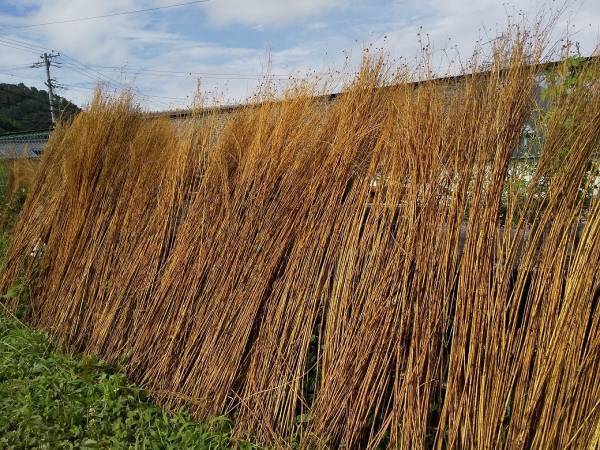 【angersの小さなうつわ市】　滝沢都さんのピンクッション[PR]