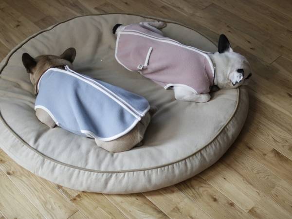 【インスタグラマーさんのものえらび】愛犬も喜ぶ、寒さ対策ドッグ用スリーパー使用レポ[PR]