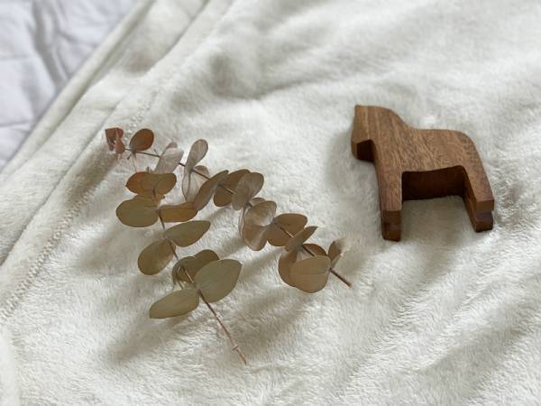 「伝説の毛布」、わが家もはじめました！噂の＃朝ベッドから出られなくなる毛布[PR]