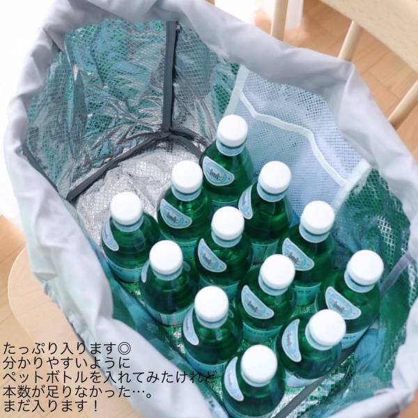 今話題の「#レジカゴバッグ」人気インスタグラマーさんはどう使ってる？[PR]