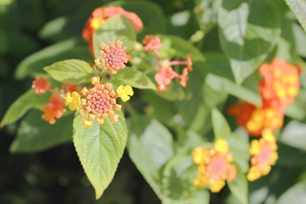 【ありきたりな日常を楽しむためのヒント】自分のものさしを“しなやか”に[PR]