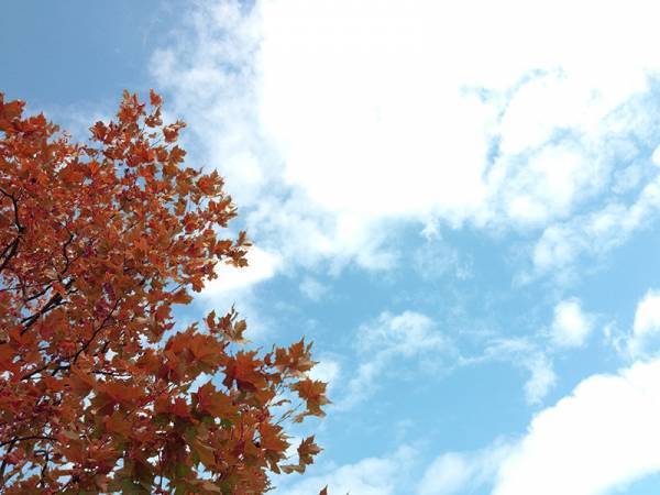 【ありきたりな日常を楽しむためのヒント】ここぞという時のやる気、どう引き出す？[PR]