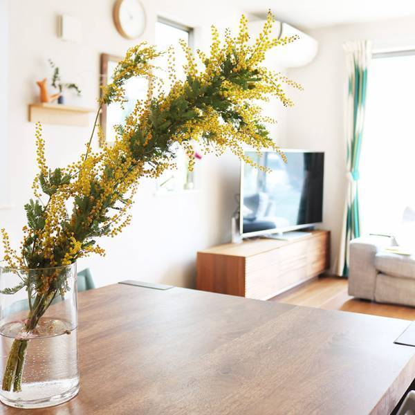 飾り方、楽しみ方色々！春を呼び込む「ミモザのある暮らし」[PR]