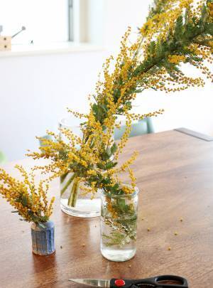 飾り方、楽しみ方色々！春を呼び込む「ミモザのある暮らし」[PR]