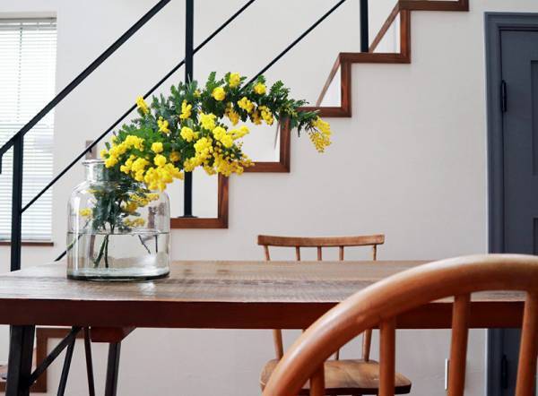 飾り方、楽しみ方色々！春を呼び込む「ミモザのある暮らし」[PR]