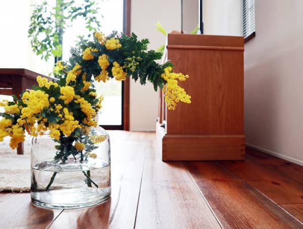 飾り方、楽しみ方色々！春を呼び込む「ミモザのある暮らし」[PR]