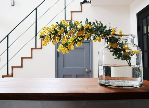 飾り方、楽しみ方色々！春を呼び込む「ミモザのある暮らし」[PR]