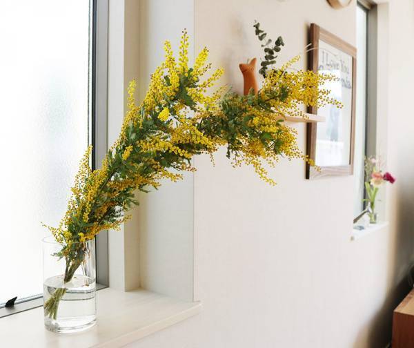 飾り方、楽しみ方色々！春を呼び込む「ミモザのある暮らし」[PR]