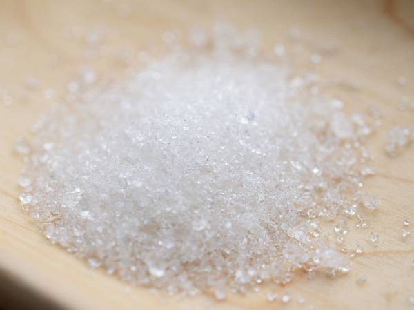 ＜もうすぐ衣替え＞大切な衣類を優しく守る、天然クスノキの防虫剤[PR]