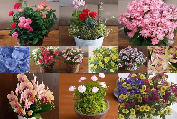 【2020最新版】母の日プレゼントどう選ぶ？お母さんを笑顔にする洗練フラワーギフト[PR]