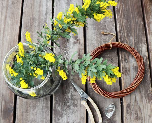 リースに、スワッグに「ミモザのある暮らし」をたのしもう[PR]