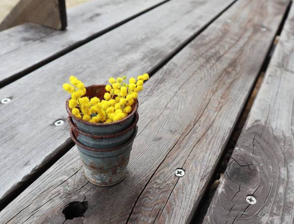 リースに、スワッグに「ミモザのある暮らし」をたのしもう[PR]