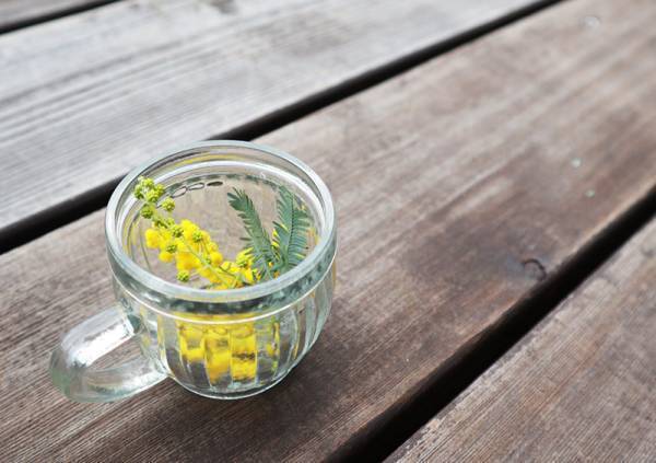 リースに、スワッグに「ミモザのある暮らし」をたのしもう[PR]