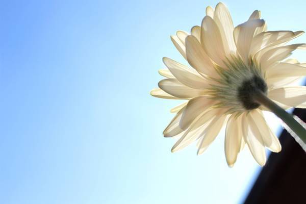 【ありきたりな日常を楽しむためのヒント】春になったらはじめたい新習慣[PR]