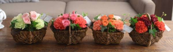 「母がホームラン級に喜んでくれたのは、紫○○でした。」母の日の思い出エピソード。[PR]