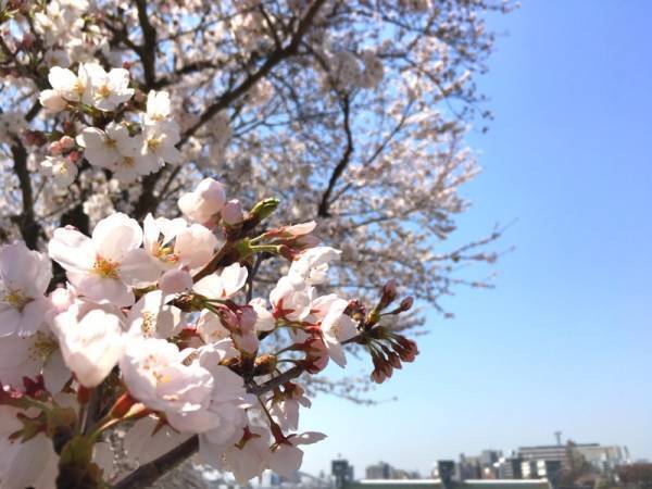 【ありきたりな日常を楽しむためのヒント】苦手な初対面シーン、どう対処する？[PR]