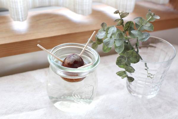 【ありきたりな日常を楽しむためのヒント】身近に落ちてる“楽しみのタネ”[PR]