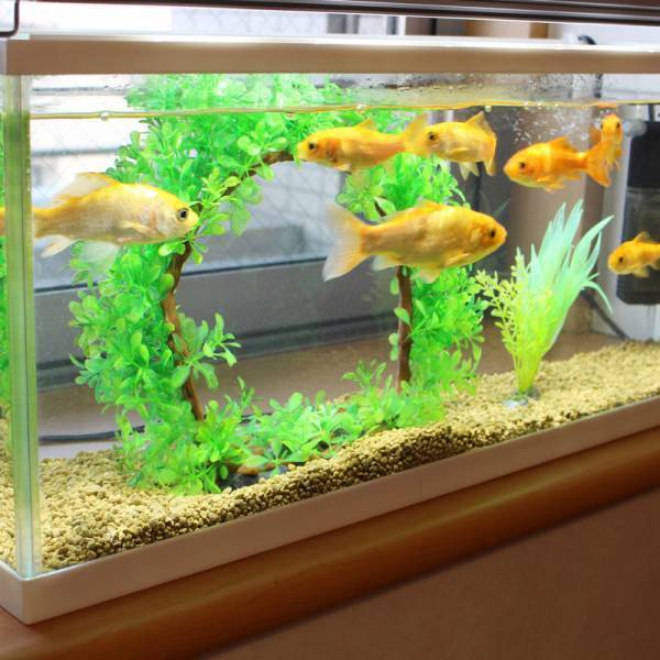 モーニングルーティンに加わった、「ジアポケット」で始める毎朝の除菌習慣[PR]