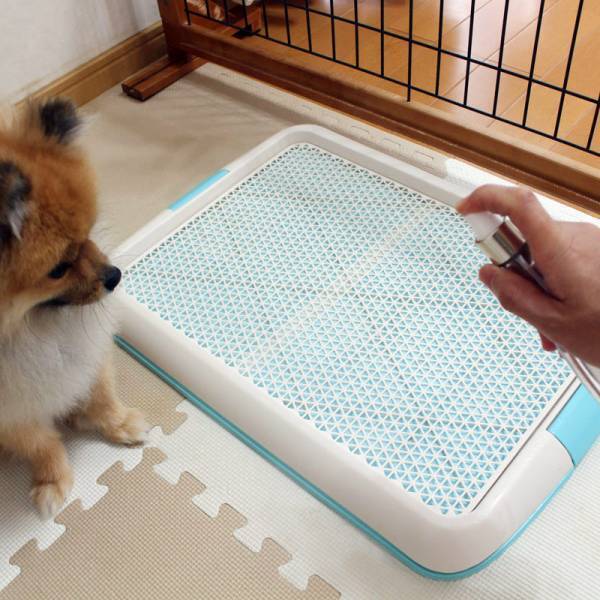 モーニングルーティンに加わった、「ジアポケット」で始める毎朝の除菌習慣[PR]