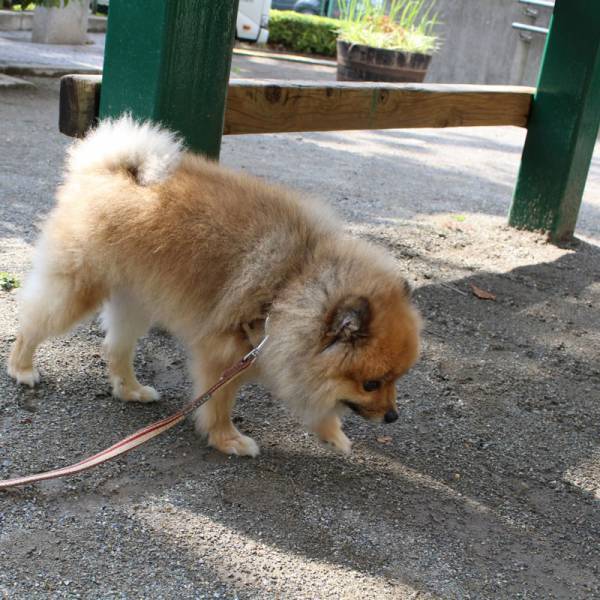 モーニングルーティンに加わった、「ジアポケット」で始める毎朝の除菌習慣[PR]