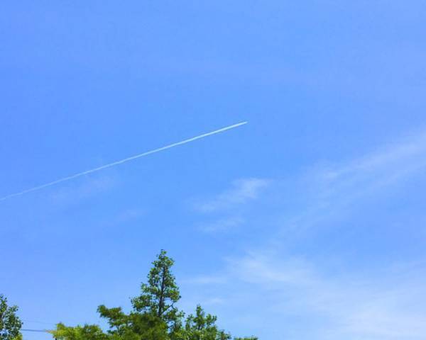 【ありきたりな日常を楽しむためのヒント】力の抜きどころを探そう[PR]