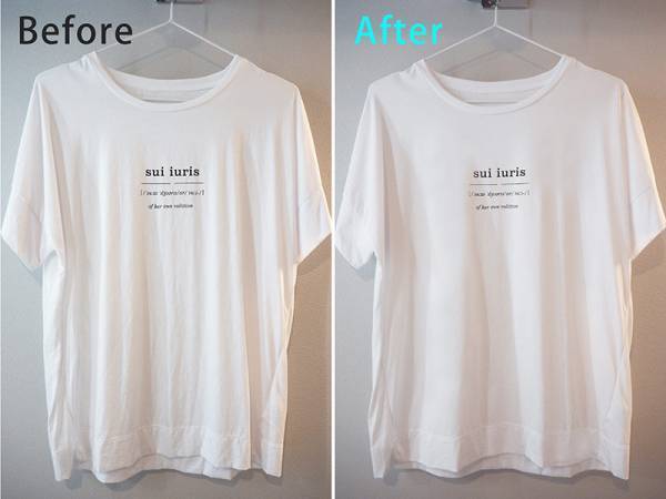 忙しい朝にパパっとシワがとれる「スタイルスチーマー」が便利！　脱臭・除菌にも