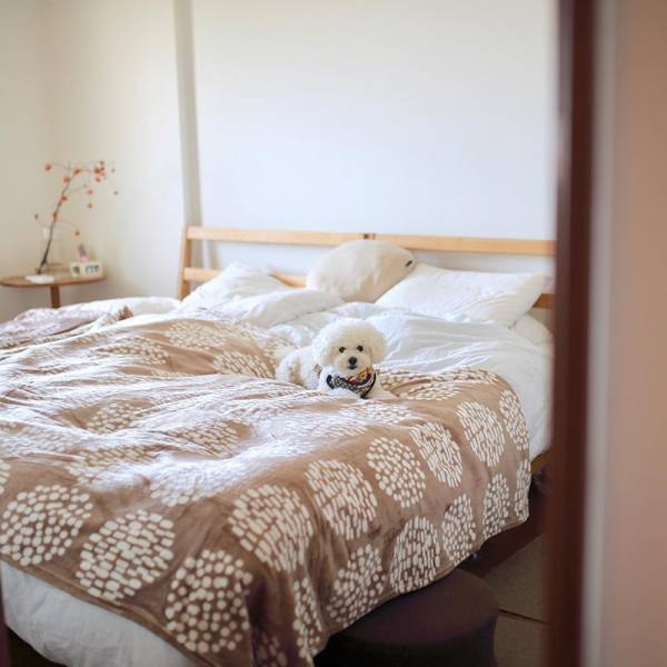 2020年冬、インスタグラマーさんたちの「伝説の毛布」寝室コーデ集[PR]