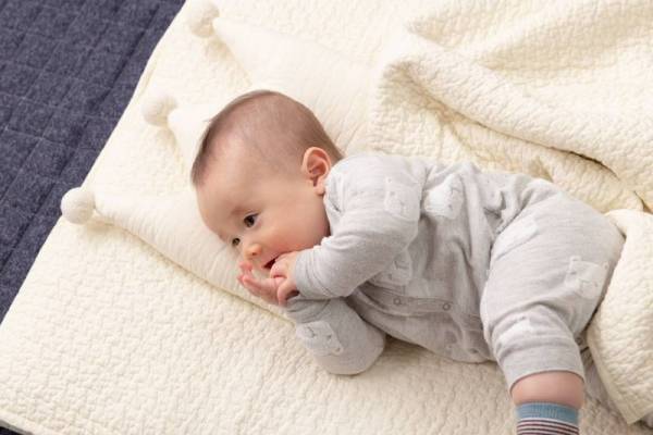 食べこぼし対策 VS インテリアどっちも妥協しない、今人気の“イブル”５選[PR]