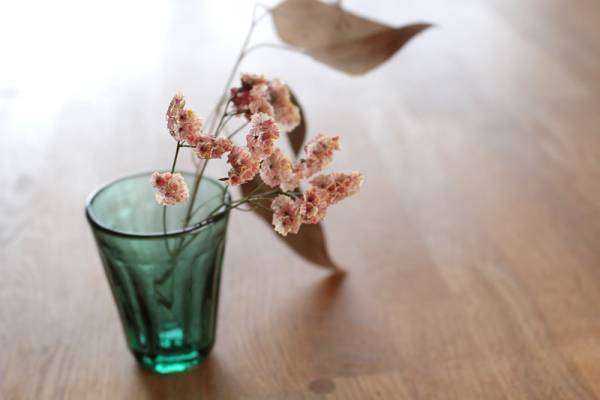 【ありきたりな日常を楽しむためのヒント】「捨て上手」になって心かろやかに[PR]