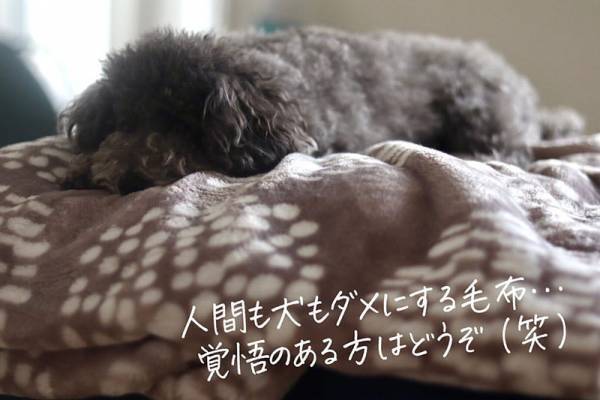 インスタグラマーさんが選ぶ、２０２０年買ってよかった逸品【インテリア雑貨編】[PR]