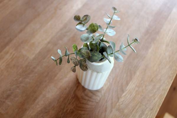 技術もセンスも不要。「北欧風フラワーベース」で、もっと気軽に花のある暮らしを[PR]