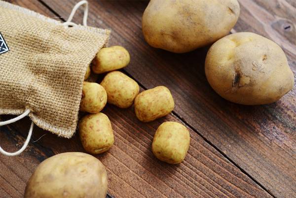 【2021年バレンタイン】プレゼントやご褒美に！心躍るチョコレート特集[PR]