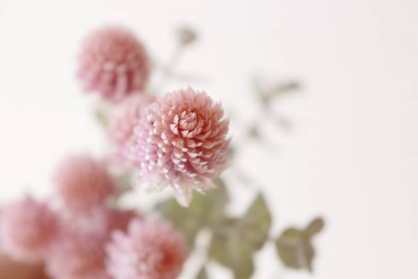 【ありきたりな日常を楽しむためのヒント】ネガティブを味方につけよう[PR]