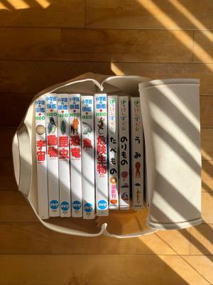 大人気の「bon moment　目隠しできる帆布素材の収納トートL」シンデレラフィット術。[PR]