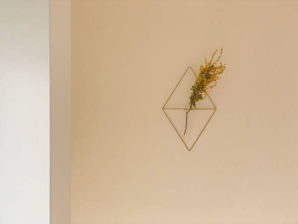 オブジェのように飾るフラワーベース。「PIKE brass base」で花のある暮らしを。[PR]