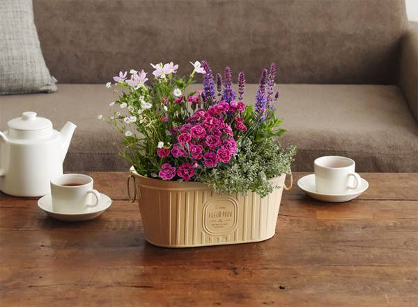 早いほどお得「母の日のお花屋さんOPEN」今年の注目アイテムはコレ！[PR]