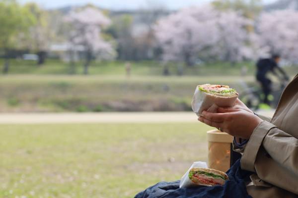 【京都のちょっといいこと】〜京都桜便り〜[PR]