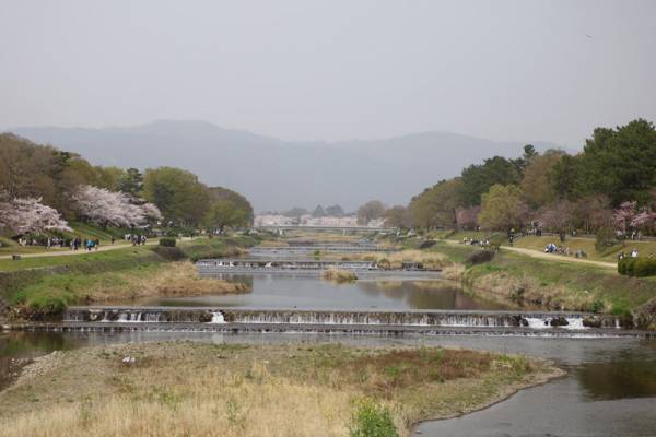 【京都のちょっといいこと】〜京都桜便り〜[PR]