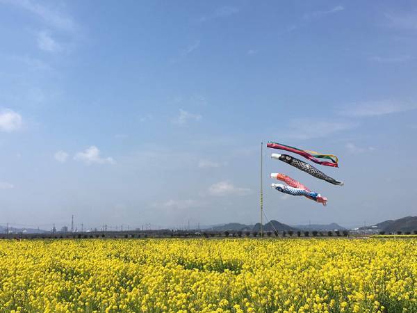 【ありきたりな日常を楽しむためのヒント】時には心のままに流されてみよう[PR]