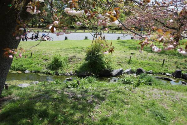 【連載】京都のちょっといいこと　京都御苑[PR]