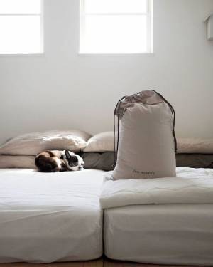 ワンちゃんも快適に。インスタグラマーさんもご愛用「ボンモマン」夏のペットアイテム[PR]