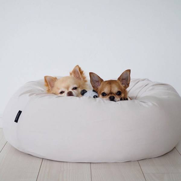 ワンちゃんも快適に。インスタグラマーさんもご愛用「ボンモマン」夏のペットアイテム[PR]