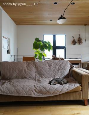 ボンモマン×シンプルホーム、初コラボ企画！こだわりを詰め込んだ 「やわらかマルチカバー」誕生秘話[PR]