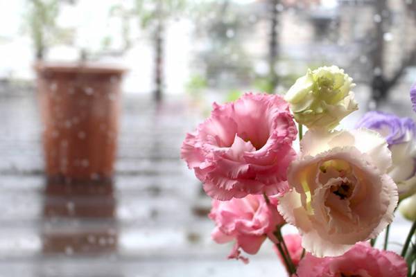 【ありきたりな日常を楽しむためのヒント】湿気がちな今がチャンス「梅雨のお掃除」[PR]