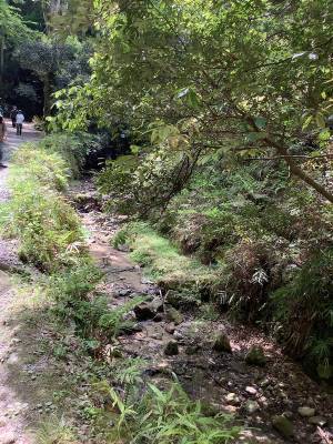 【連載】京都のちょっといいこと　大文字山[PR]