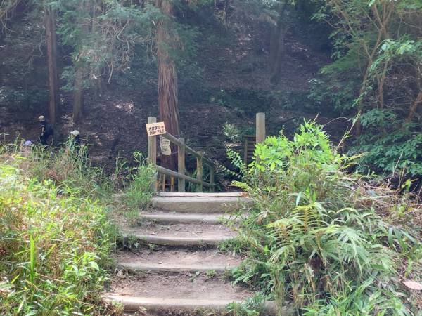 【連載】京都のちょっといいこと　大文字山[PR]
